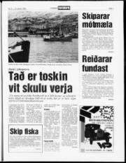 Síða 5