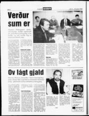 Síða 8