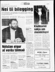 Síða 15