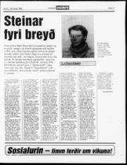Síða 17