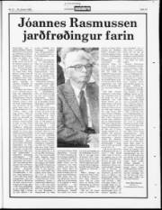 Síða 19