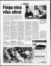 Síða 3