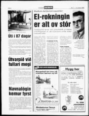 Síða 6