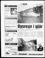Síða 10