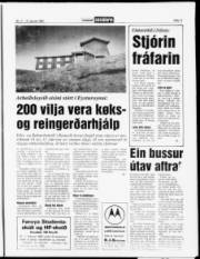 Síða 11