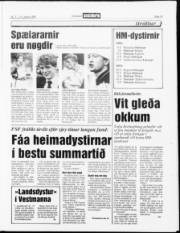 Síða 13