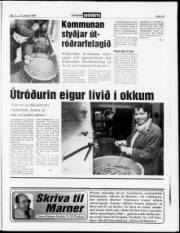 Síða 15