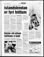 Síða 3
