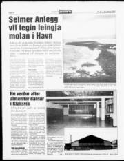 Síða 10