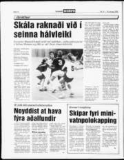 Síða 12