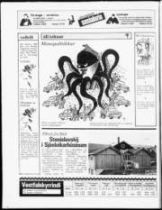 Síða 20