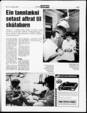 Síða 3
