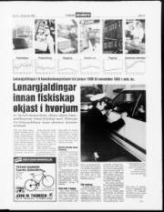 Síða 11