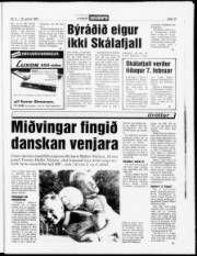 Síða 13