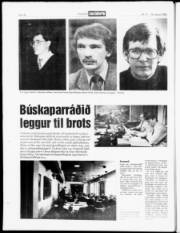 Síða 16