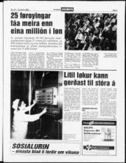 Síða 3