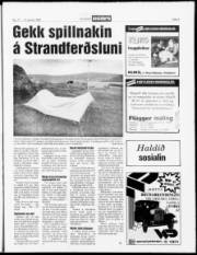 Síða 5