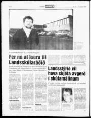 Síða 8