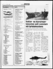 Síða 15