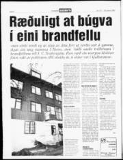 Síða 6