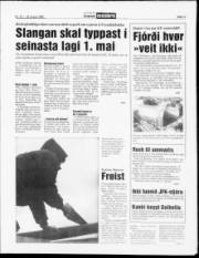 Síða 11