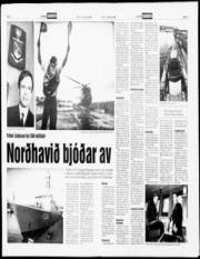 Síða 12