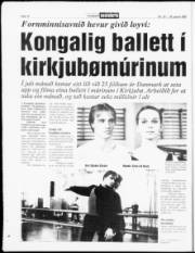 Síða 13