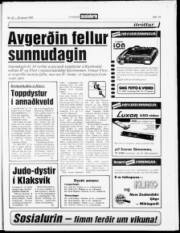 Síða 18