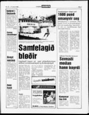 Síða 3