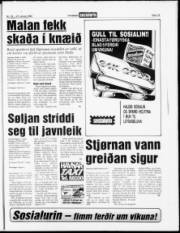 Síða 15