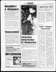 Síða 6