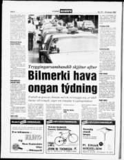Síða 8