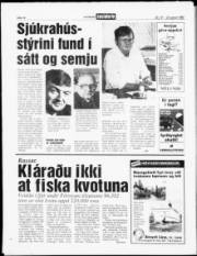 Síða 13