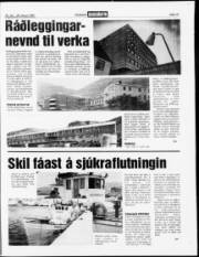Síða 14