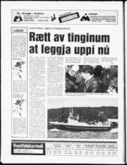 Síða 19