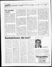 Síða 2