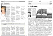 Síða 17