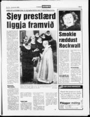 Síða 3