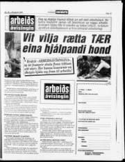 Síða 13