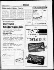 Síða 15