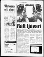 Síða 8