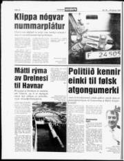 Síða 10