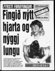 Síða 1