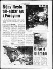Síða 3