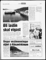 Síða 7