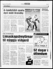 Síða 15