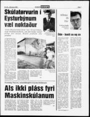 Síða 7