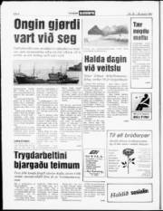 Síða 8