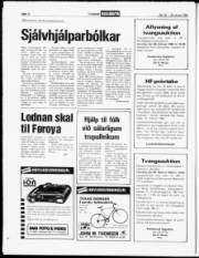Síða 12