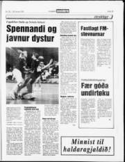 Síða 15